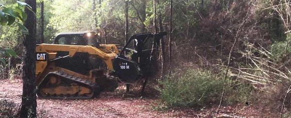 Light land clearing out in Crestview FL