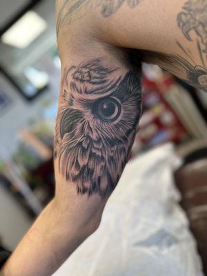 Realistic owl tattoo