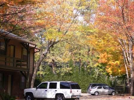 Chestnut Hill Apartments