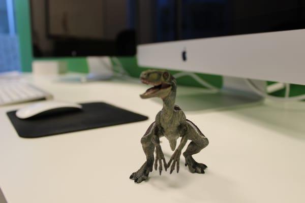 Raptor Digital Marketing