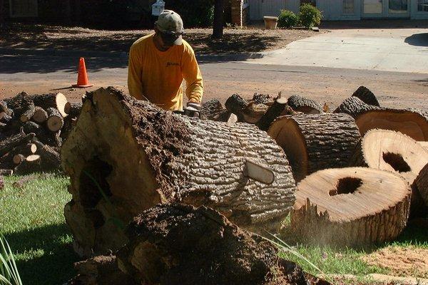 Breaking down the tree