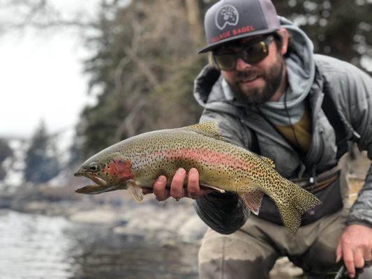 Fly Fishing Eagle River for trout in Vail Valley, Colorado