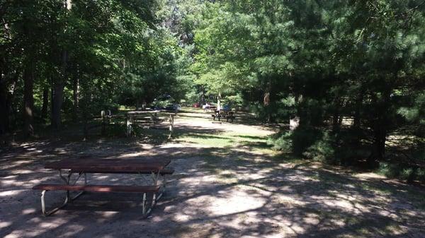 This is 3 campsites, no boundary between them