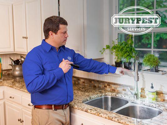 Jury Pest Services