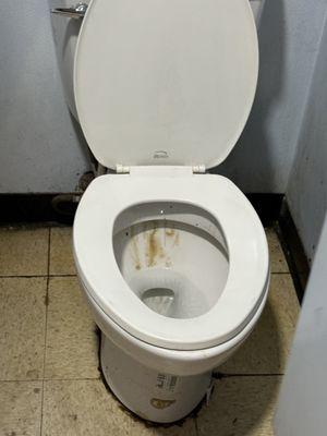 Nasty ass toilet