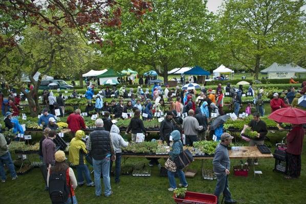 Seattle Tilth's May Edible Plant Sale is the perfect event to help you kick-start your summer gardening.