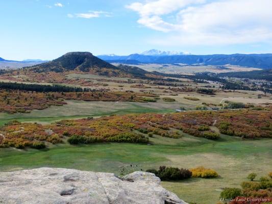 Douglas Land Conservancy