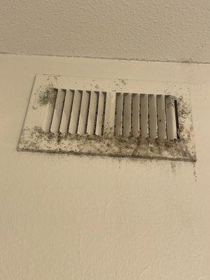 Mold growing all over air vent and onto the wall