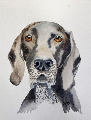 Custom Pet Portrait 8 x 10 German Short-haired Pointer