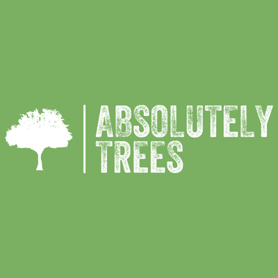 Absolutely Trees