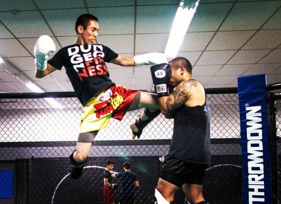 Flying knee in the mma cage