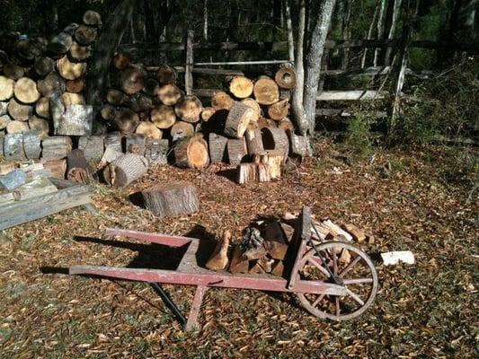 You had to chop and split lots of wood to live back then.