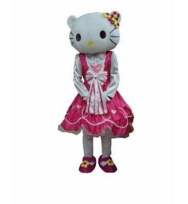 What girl doesn't love Hello Kitty?!? Get her for your daughters party!!!