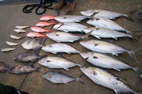 Murrells Inlet Fishing Charters