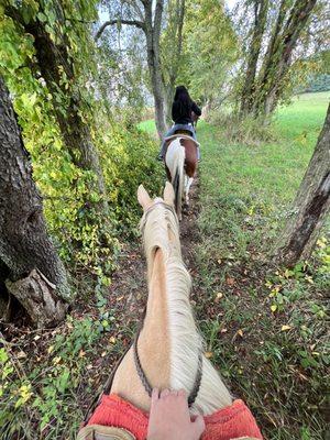 Equestrian Valley Farm