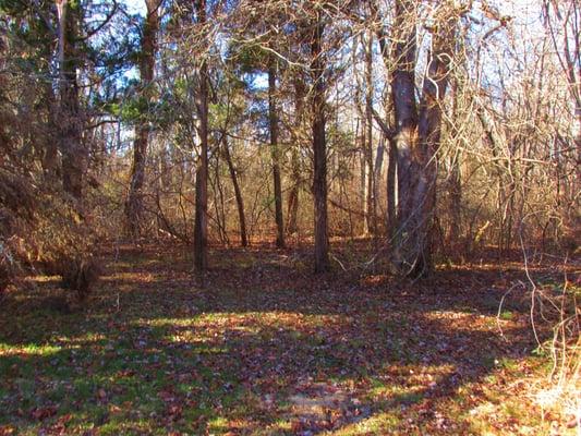 Little walking paths