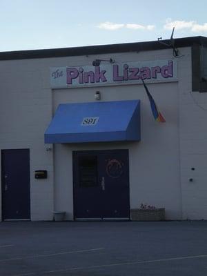 Pink Lizard