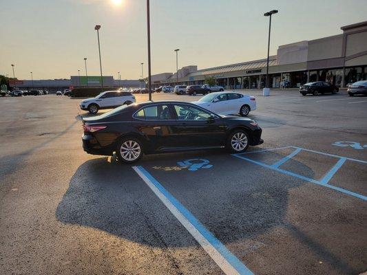 All Island Yellow Cab Levittown NY