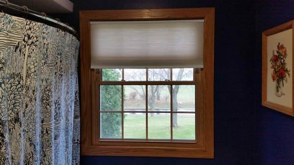 Vinyl double hung with a golden oak finish.  Matched my trim very well.