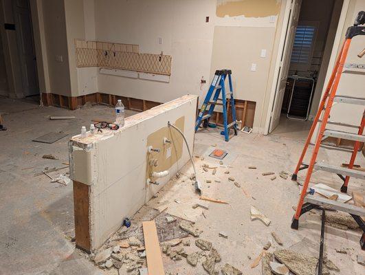 Kitchen before restoration