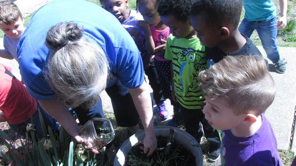 Our 3 Year Old Class - Planting their carrots  :)