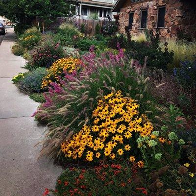 It's a pollinator's dream to find this front yard flower garden, designed by Ecoscape's Sue Rigdon.