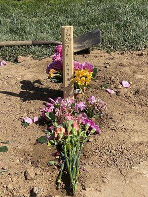 Corona Sunnyslope Cemetery