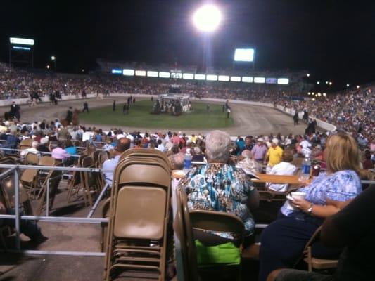 Tennessee Walking Horse National Celebration