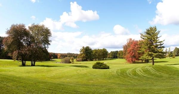 Golf Course Scenery