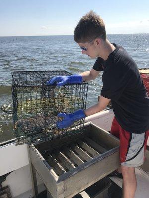 Our son emptying a crab pot.