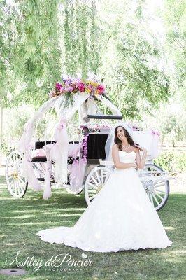 Our Cinderella Coach can be used for a prop for the Princess Pictures