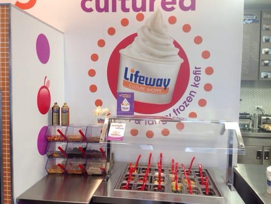 Frozen Kefir with fresh fruit bar