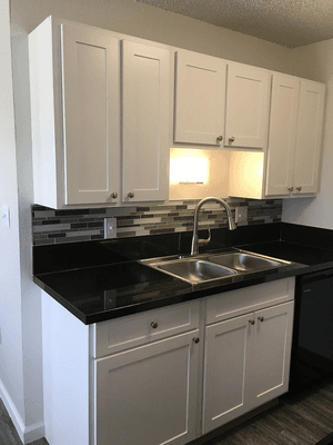 Renovated Kitchen