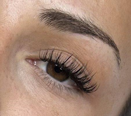 Wispy Lash Extensions