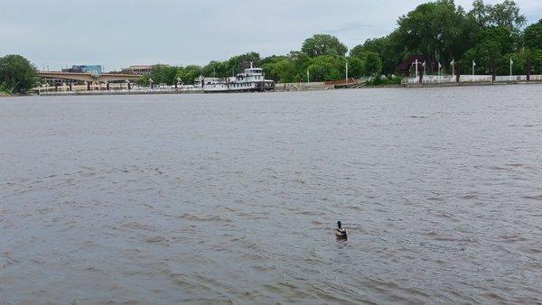 St Paul River Front