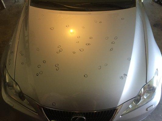 Lexus Hood Hail Damage (Before)