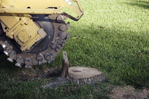 Stump Grinding Available