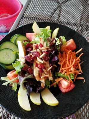 Chicken apple cranberry salad