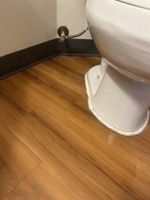 Flooded toilet - leaking from the ring. Obviously the caulk job did not fix this. Are you kidding me?!?!