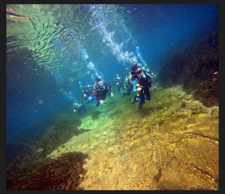 Rainbow Springs and the beautifully crystal clear water.