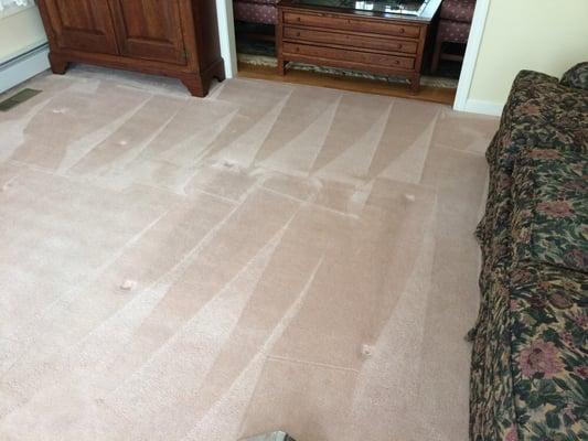 Carpet cleaning with steam/shampoo extraction