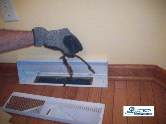 Indoor Air Professionals