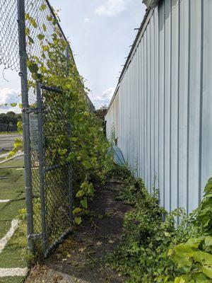 hasn't been taken care of in years, buildings, courts, fencing all destroyed from neglect