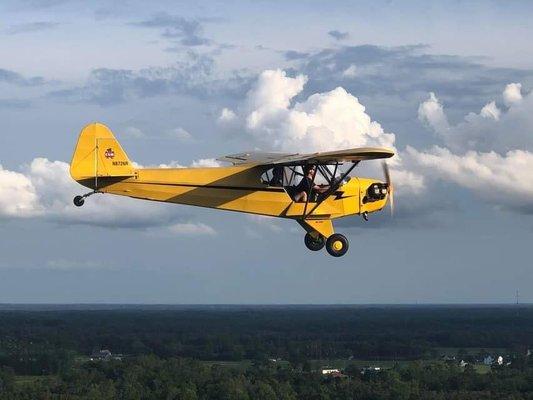 Piper cub