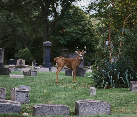 Riverside Cemetery