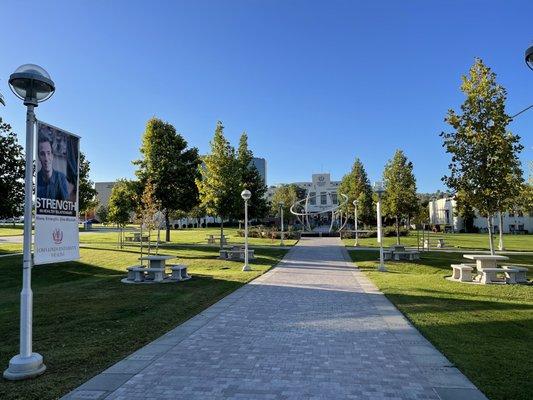 Loma Linda University