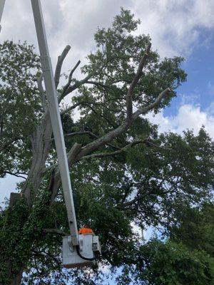 SES Tree Service using 83-foot articulated boom truck to reach high up for more efficient tree care and removal