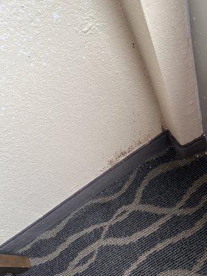 Black mold