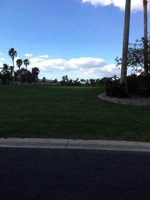 Beautiful day for golf.