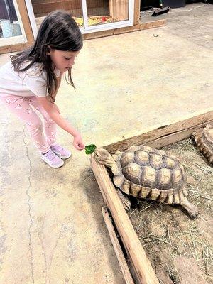 Idaho Reptile Zoo